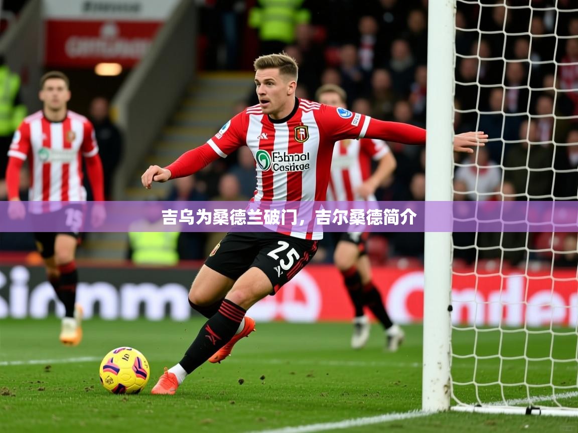 2025九游电子娱乐pg吉乌为桑德兰破门，吉尔桑德简介